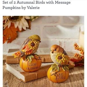 Set of 2 Resin birds perched on pumpkin